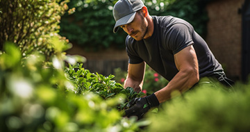 Why the Local Gardeners in Balham are the Best