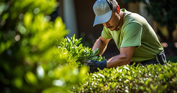 Choose Chertsey Gardeners for Your Gardening Needs