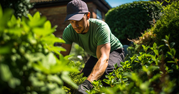 Why Our Professional Gardeners in Parsons Green are the Best
