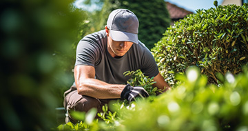 Why Fantastic Gardeners in Central London Are Your Best Choice for All Gardening Needs