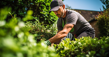 Why Choose Fantastic Leyton Gardeners for Your Landscaping Needs