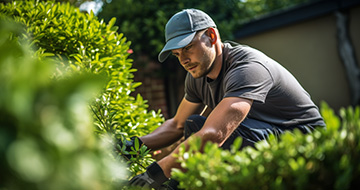 Why Choose Fantastic Brent Cross Gardeners for Your Landscaping Needs