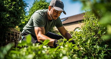 Why Are Our Gardening Services in Lingfield So Good?