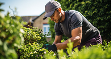 Why the Gardening Services in Mill Hill are Great for You