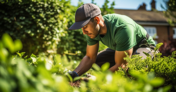 Why We are the Best Choice for Professional Gardening Services in Kennington