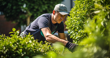 Why Choose Fantastic Waterloo Gardeners for Your Next Landscaping Project