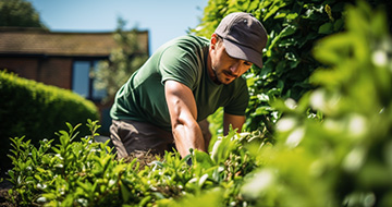 Why are our Gardening Services in Purley so Good?