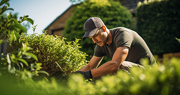 Why Choose Fantastic Dunstable Gardeners for All Your Gardening Needs
