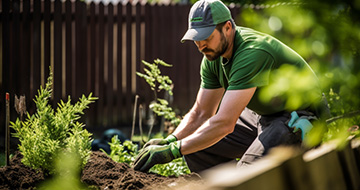 Why Choose Our Gardening Services in Hampton 
