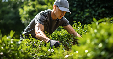 Gardening care services in Liphook