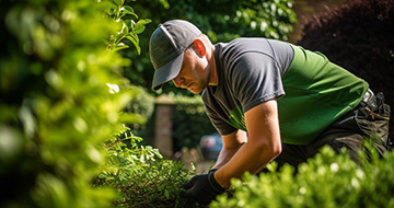 Why Choose Fantastic Leighton Buzzard Gardeners for Your Outdoor Needs