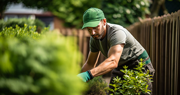 Fully Trained and Insured Local Gardeners in Erith for Professional Gardening Services