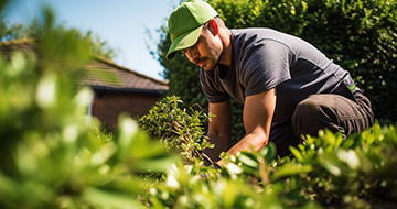 Fully Trained and Insured Local Gardeners in Bow