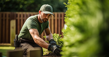 Why Are Our Gardeners in Hampton the Right Choice for Quality Outdoor Care?