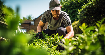 Trusted Local Gardeners in Sevenoaks