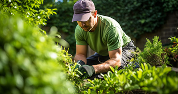 Professional and Polite Gardeners in Reigate