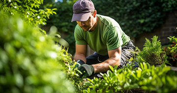 Trained & Insured Local Gardeners Near You in Central London