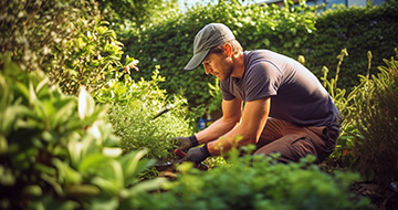 Certified, Insured Local Gardeners in Bracknell