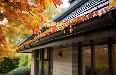 How to Clean Gutters Without Climbing: Tricks That Actually Work
