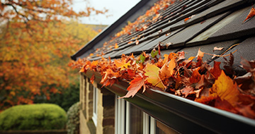 Why Choose Our Gutter Cleaning Services in Acton?