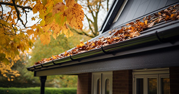 The Process of Gutter Cleaning: What to Expect