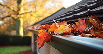 What Makes Gutter Cleaning Services in Bayswater Stand Out?