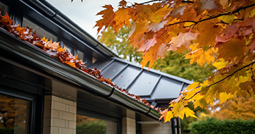 Gutter Cleaning Process: Overview and Steps