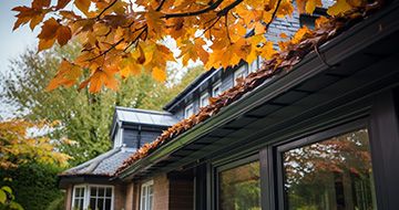 What are the Benefits of Gutter Cleaning Services in Hemel Hempstead?