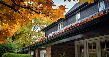 Gutter Cleaning Process: Steps and Benefits