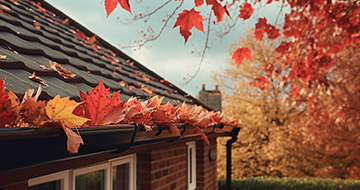 Highly Rated Gutter Cleaning in Chiswick