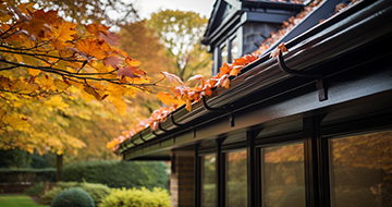 Here's How Professional Didsbury Gutter Cleaners Do It