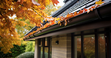 What Are the Advantages of Gutter Cleaning in Sale?