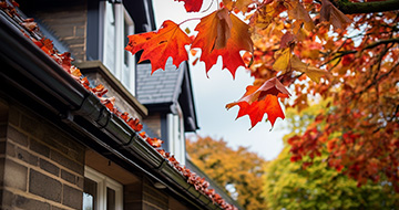 Here's How Professional Gutter Cleaners Ensure Optimum Results