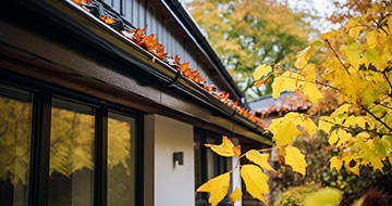 Why Choose Our Gutter Cleaning Services in Bagshot?