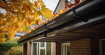 What Sets Our Gutter Cleaning Services in Liphook Apart?