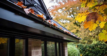 Steps to Effectively Clean Your Gutters