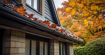 Gutter Cleaning Process: What to Expect