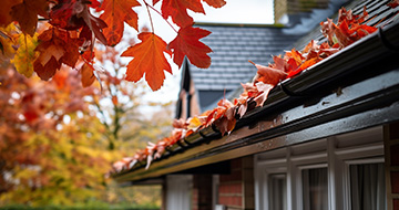 What Makes Our Gutter Cleaning Services in Bounds Green Stand Out?