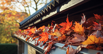 Why Choose Our Gutter Cleaning Services in Canonbury?