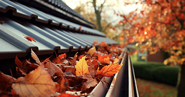 How Our Gutter Cleaning Services in Crouch End Stand Out
