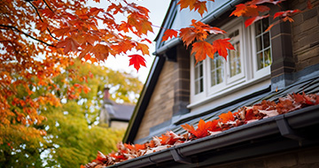 What Makes Our Gutter Cleaning Services in Finsbury Park Unmatched?