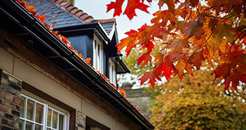 What Does Gutter Cleaning Involve?