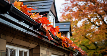What Does Gutter Cleaning Entail?