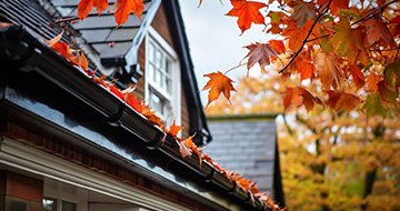 What Makes Our Gutter Cleaning Services in Highbury Stand Out?