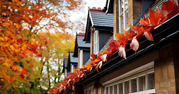 What Makes Our Gutter Cleaning Service in Highgate Superior?