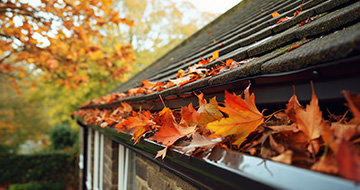 Here's How Professional Gutter Cleaners Tackle the Job