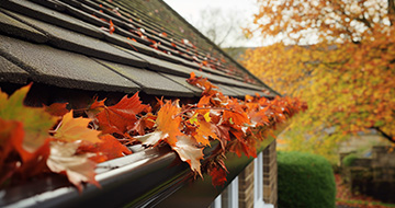 What Sets Our Gutter Cleaning Services in Manor House Apart?