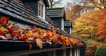 What Makes Our Gutter Cleaning Services in Muswell Hill Unbeatable?