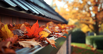What Makes Gutter Cleaning Services in Palmers Green Unrivaled?