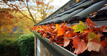 How Our Gutter Cleaning Services in Seven Sisters Stand Out?